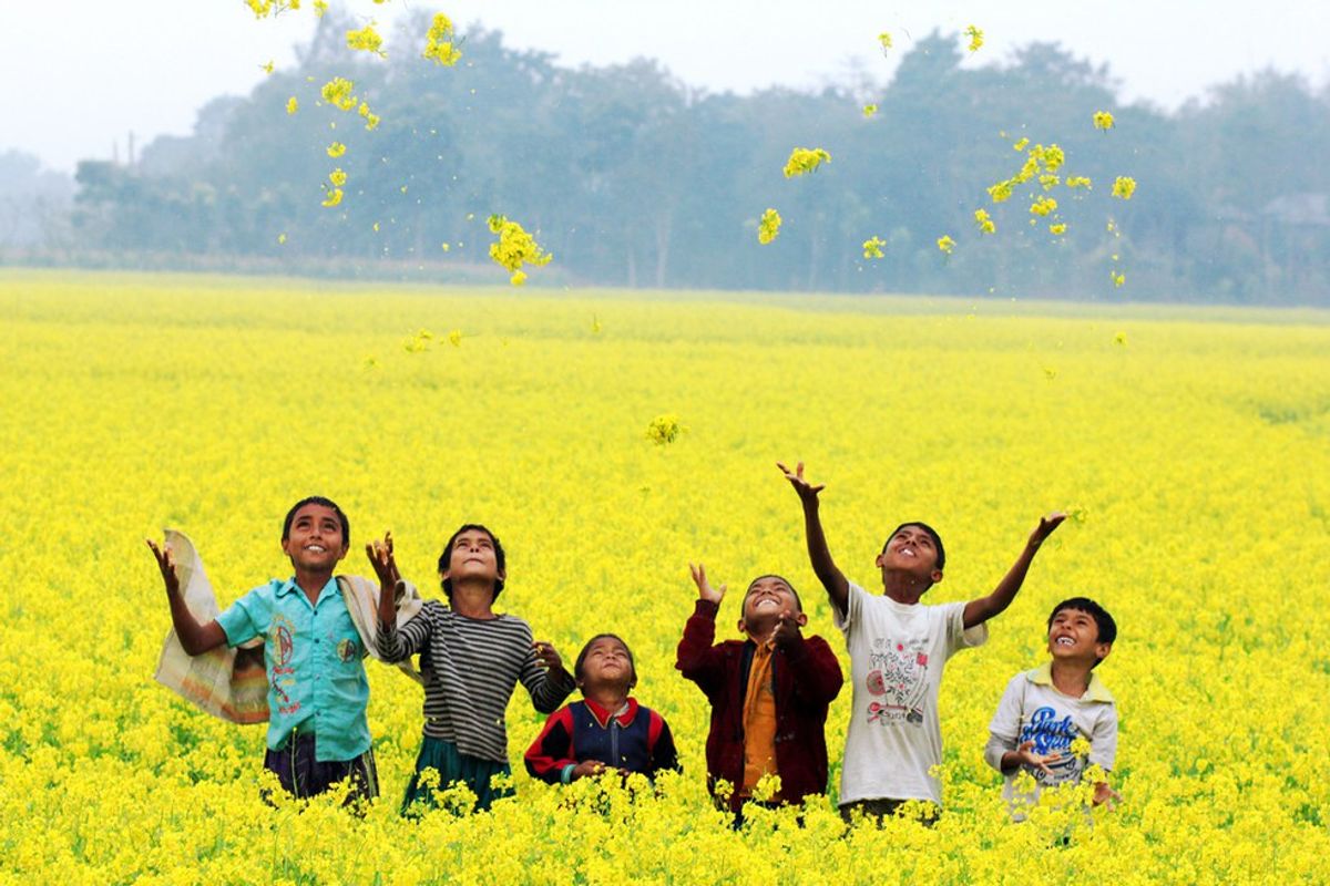 The Beauty Of Bangladesh