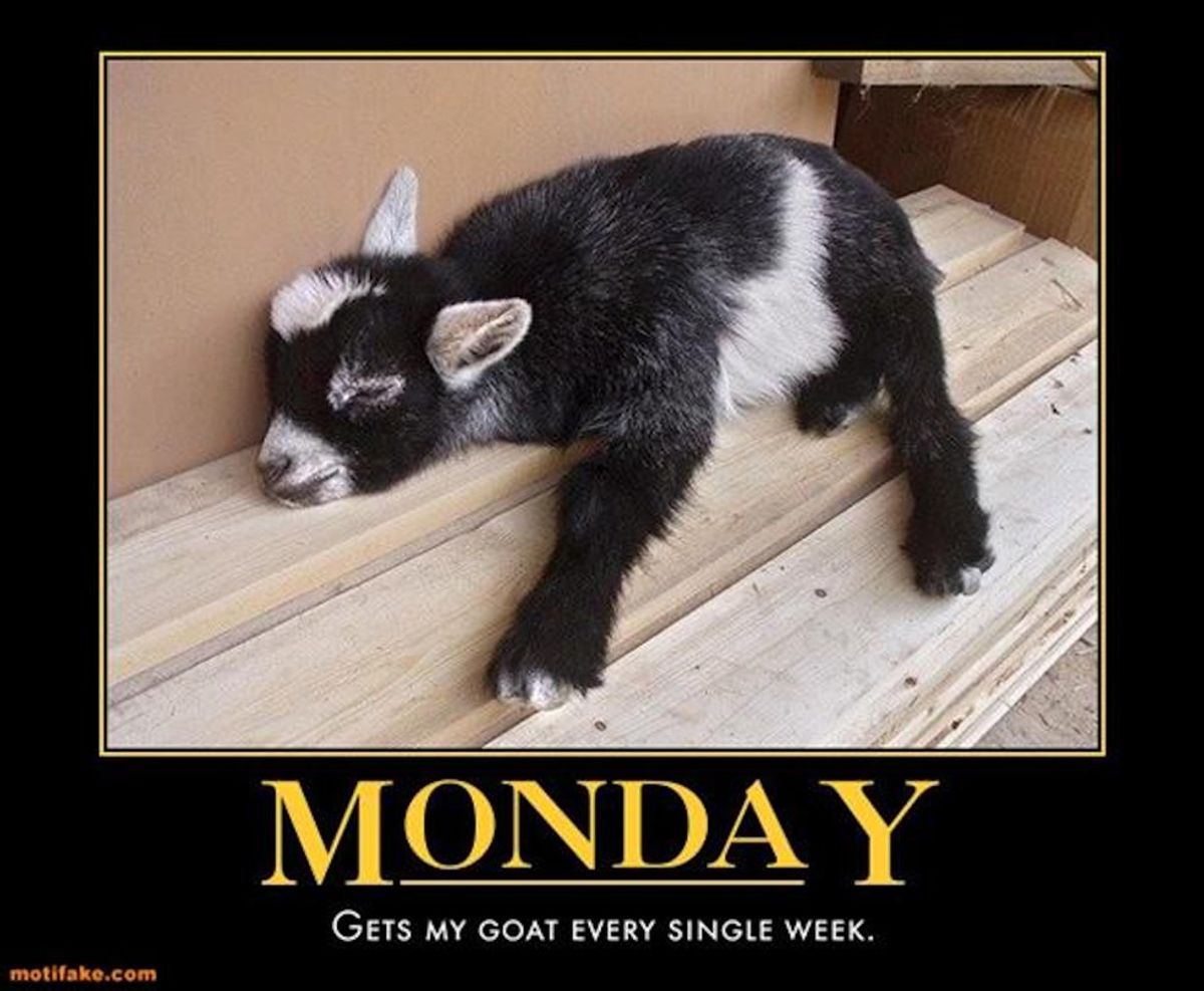 Mondays As Told By Animals