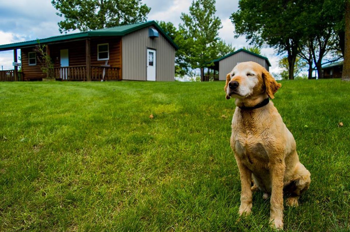 5 of the Greatest Meals at Camp Shetek