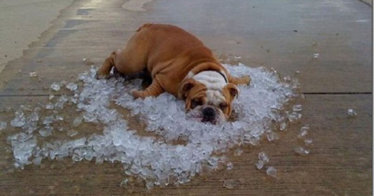 35 Things To Do To Beat The Heat This Summer