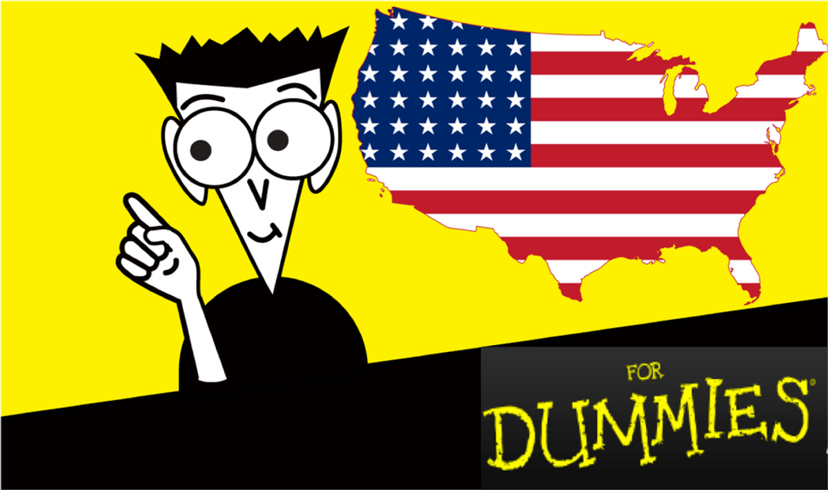 Becoming President Of The United States For Dummies: 15 Easy Steps