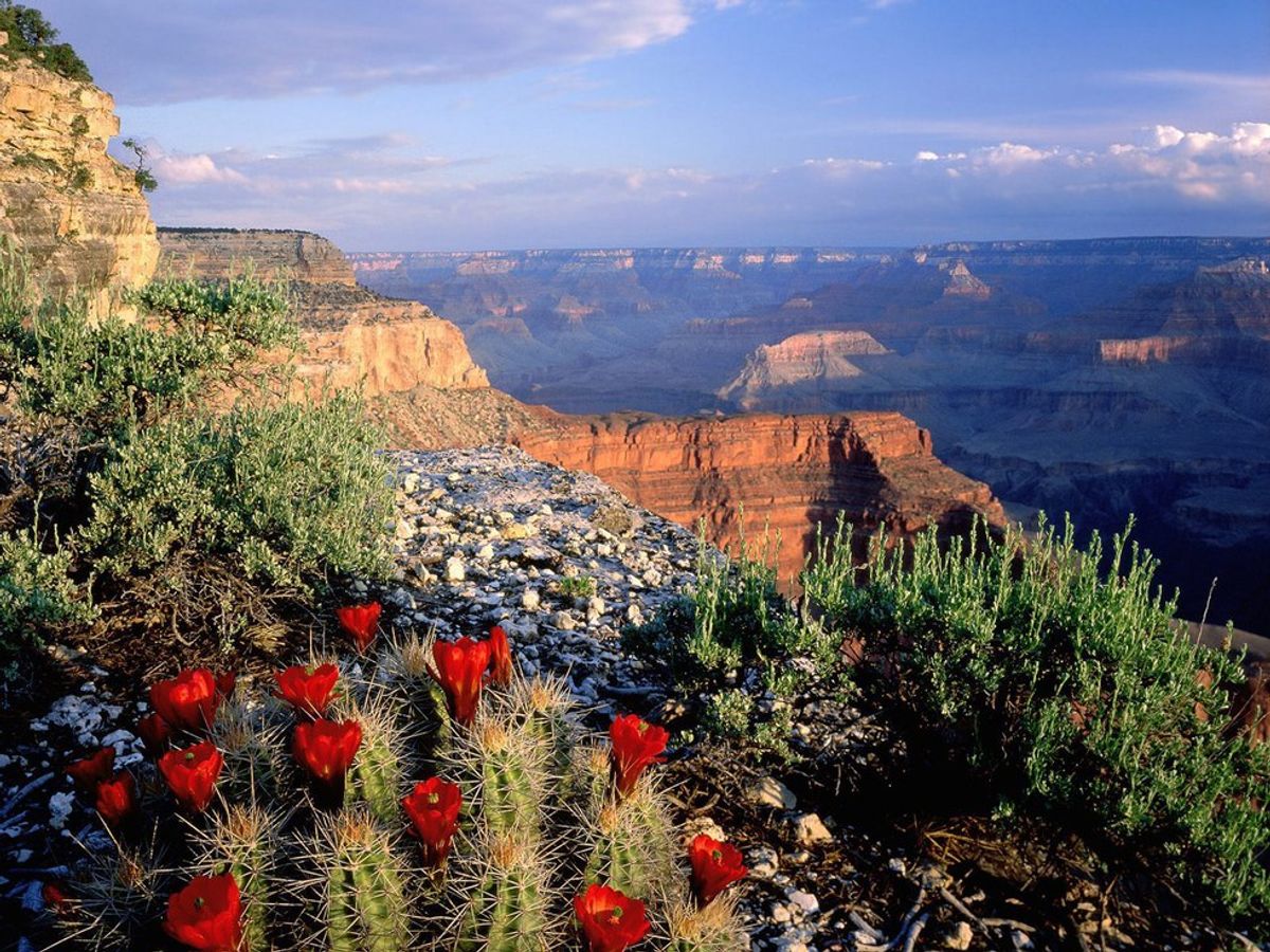 Discover The National Park Service During Its 100th Birthday Celebration