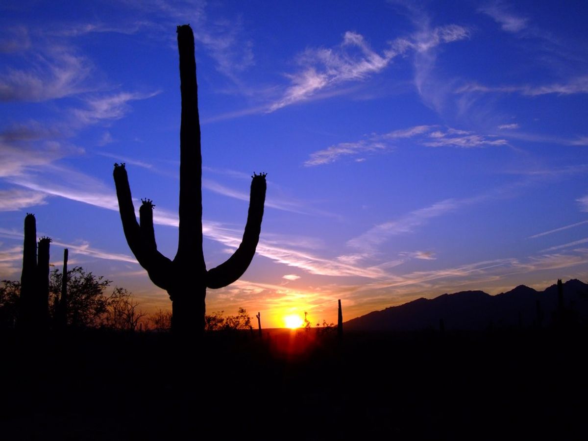 9 Cheap Things To Do In Arizona