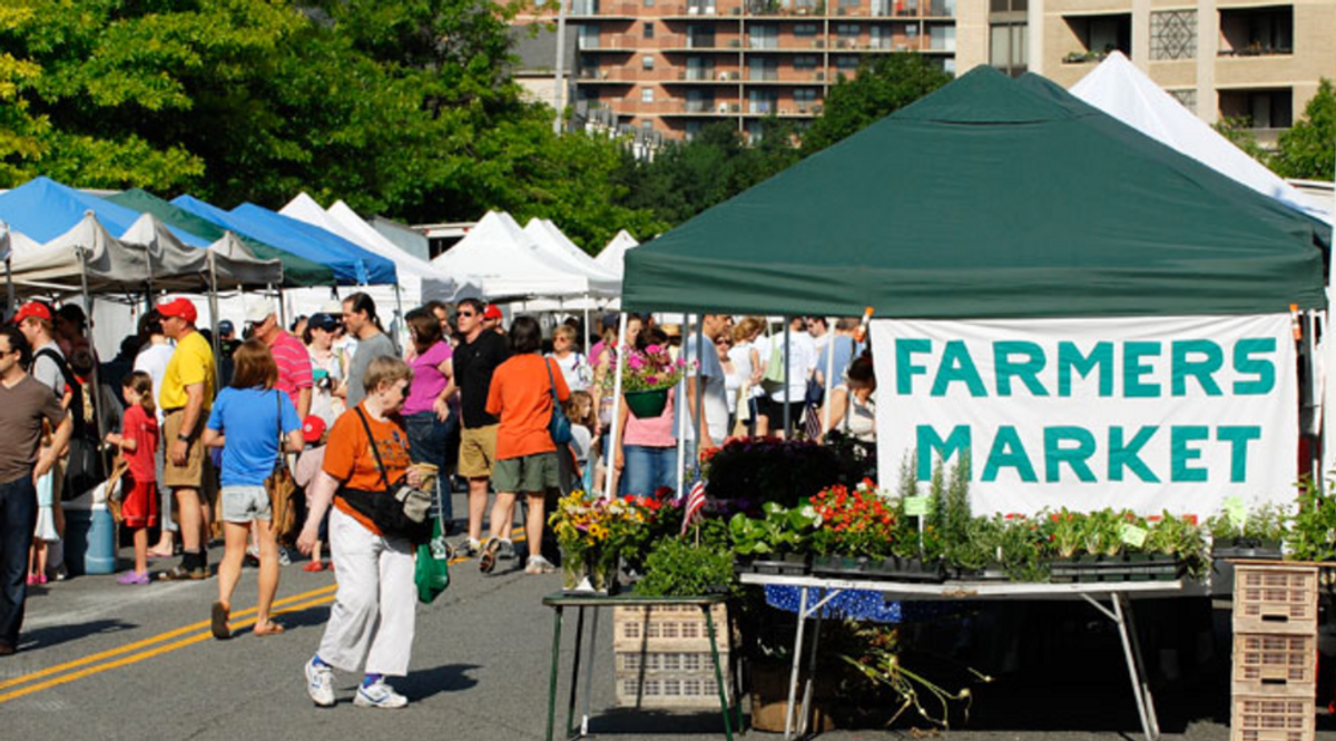 10 Reasons You Should Support Your Local Farmer’s Market