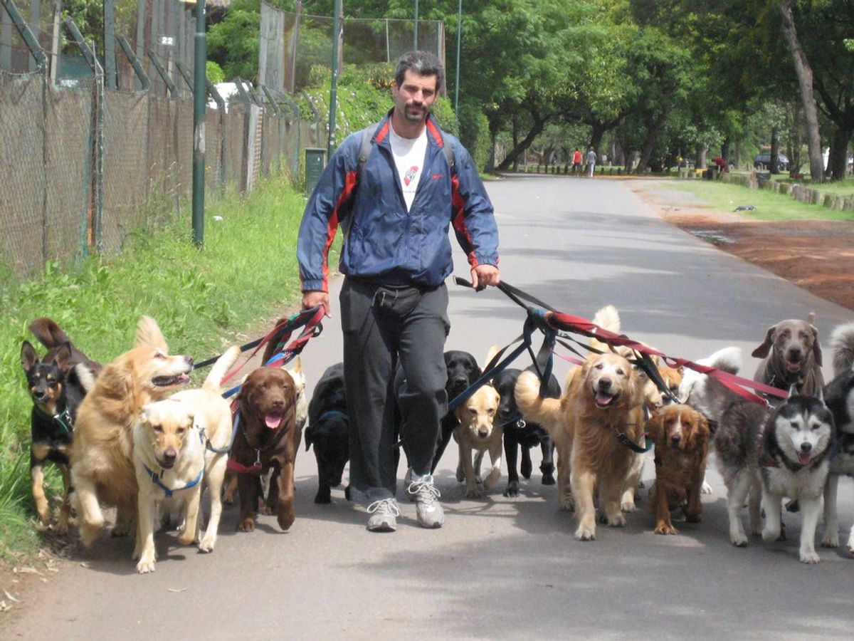 20 Things Only Dog Owners Will Understand