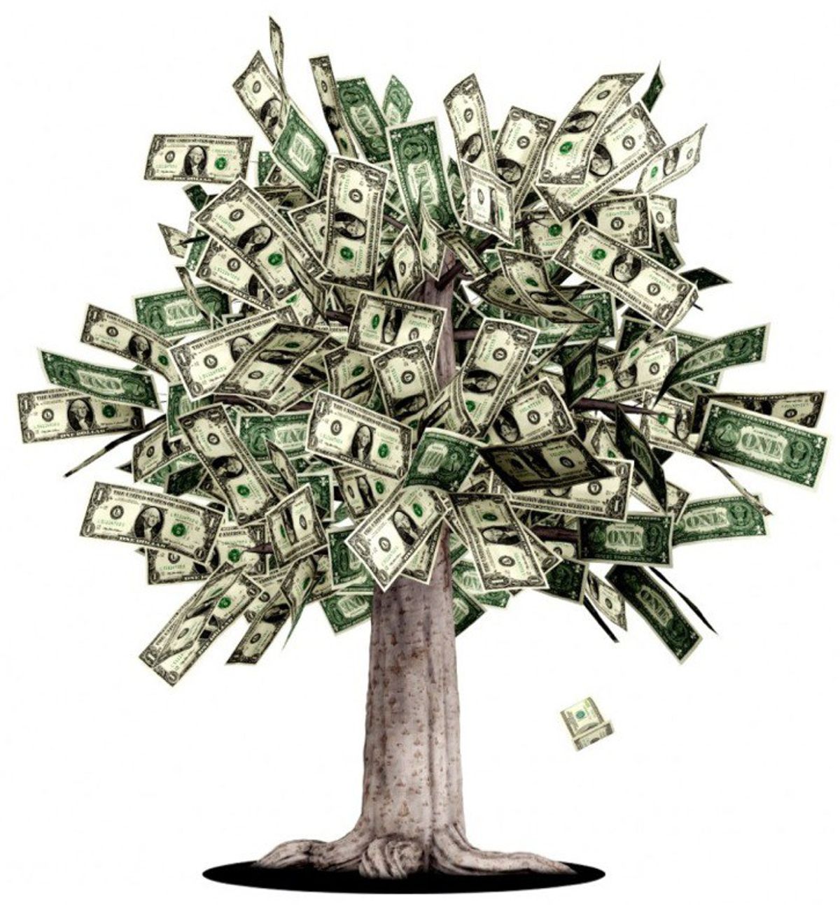 If Only Money Did Grow On Trees