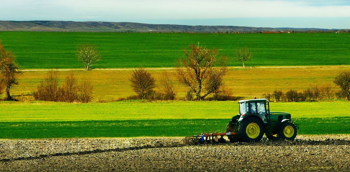 Growing Up A Farm Kid