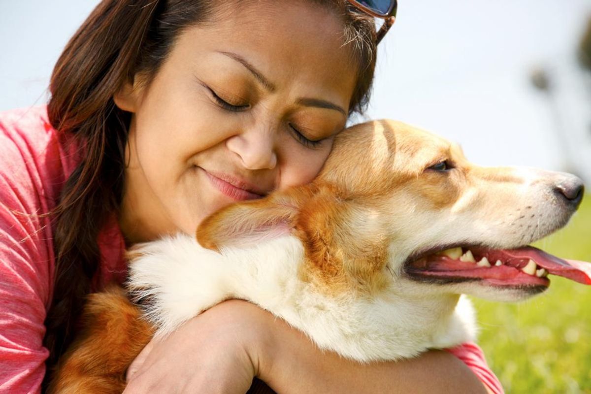 12 Steps Of Saying Goodbye to Your Pet When You Leave For College