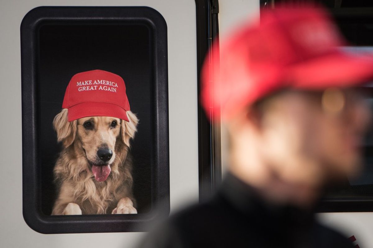 Is Your Dog Voting For Donald Trump?