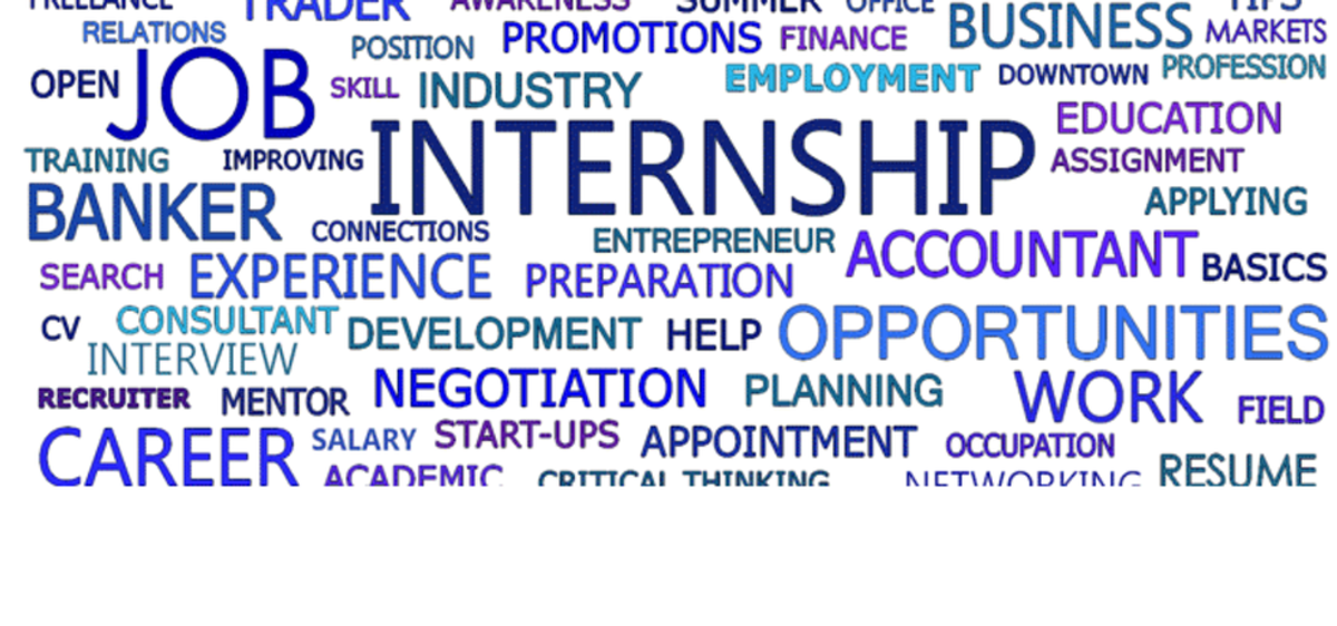 The Importance Of Internships