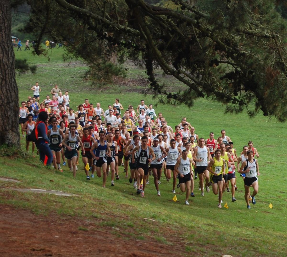 5 Reasons Why Cross Country Is The Best