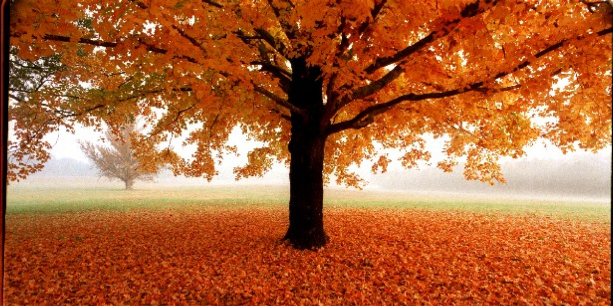 12 Reasons Why Fall Is My Favorite Season