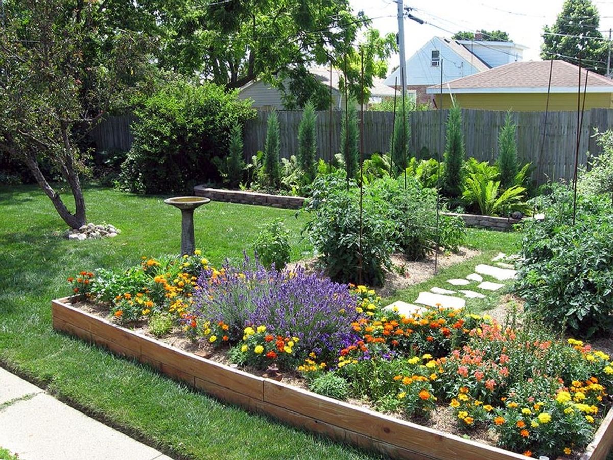 5 Ways to Make Your Yard Sustainable