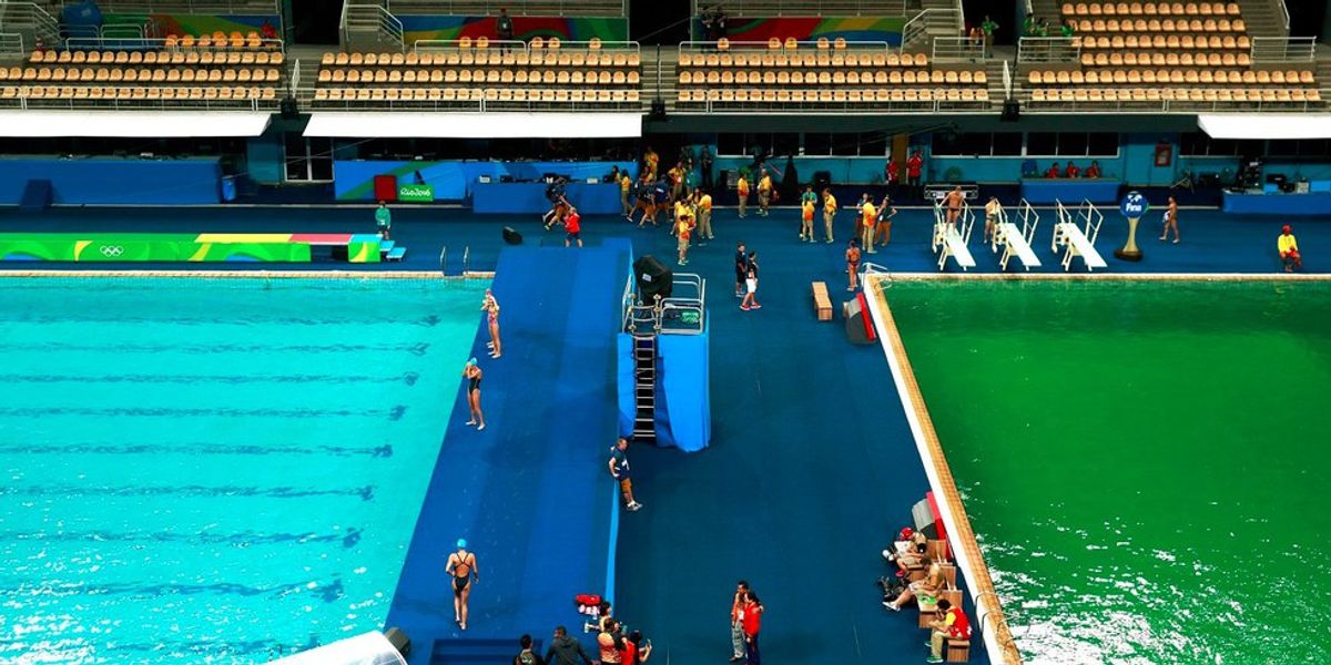 13 Things I'd Rather Do Than Dive Into The Green Olympic Pool