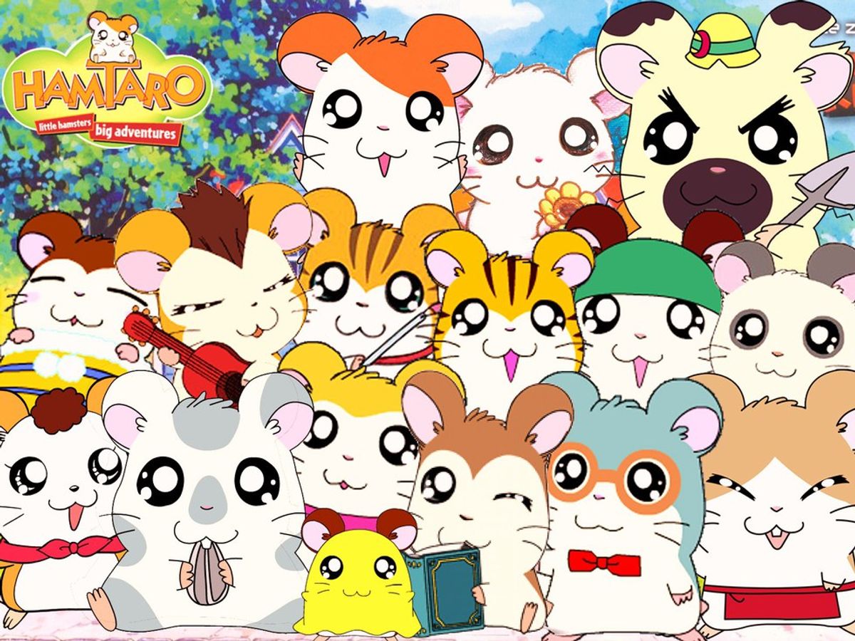 12 Hamtaro GIFs To Describe Your Life