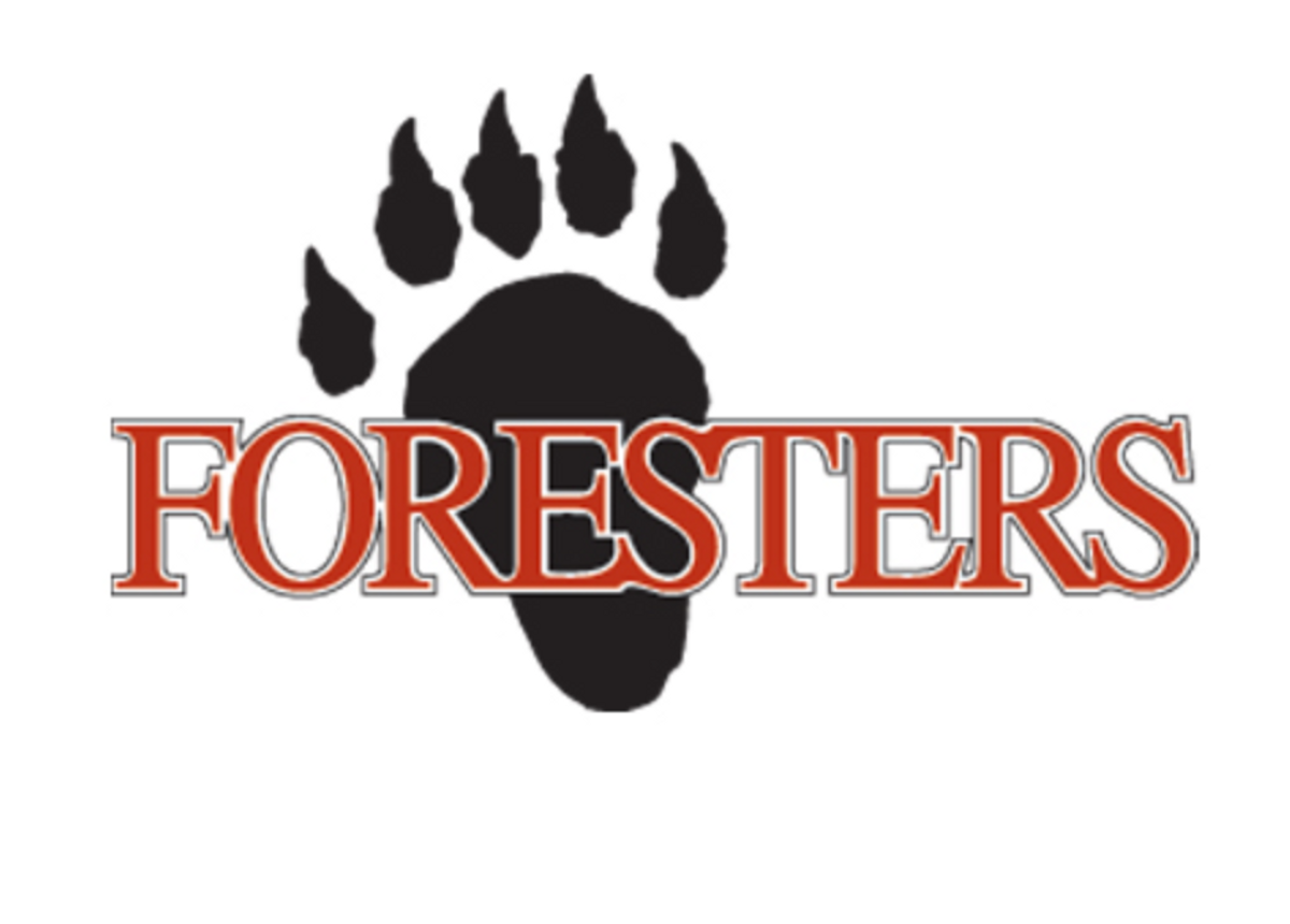 Another Fantastic Fall Ahead For The Foresters