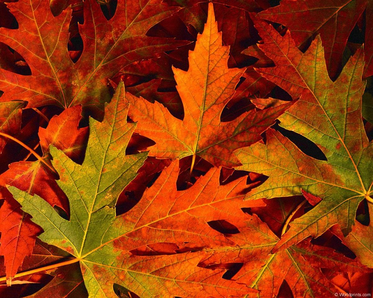 10 Reasons To Look Forward To The Coming Of Autumn