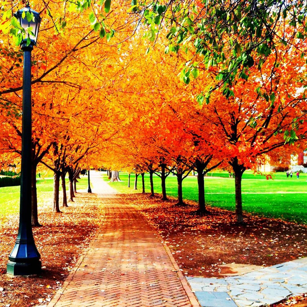 10 Reasons Why I'm So Glad Fall Is Near