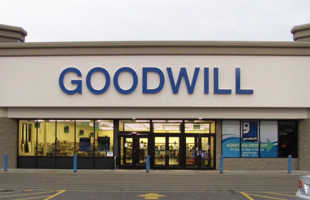 Why Goodwill Is A Monetarily Responsible Wonderland