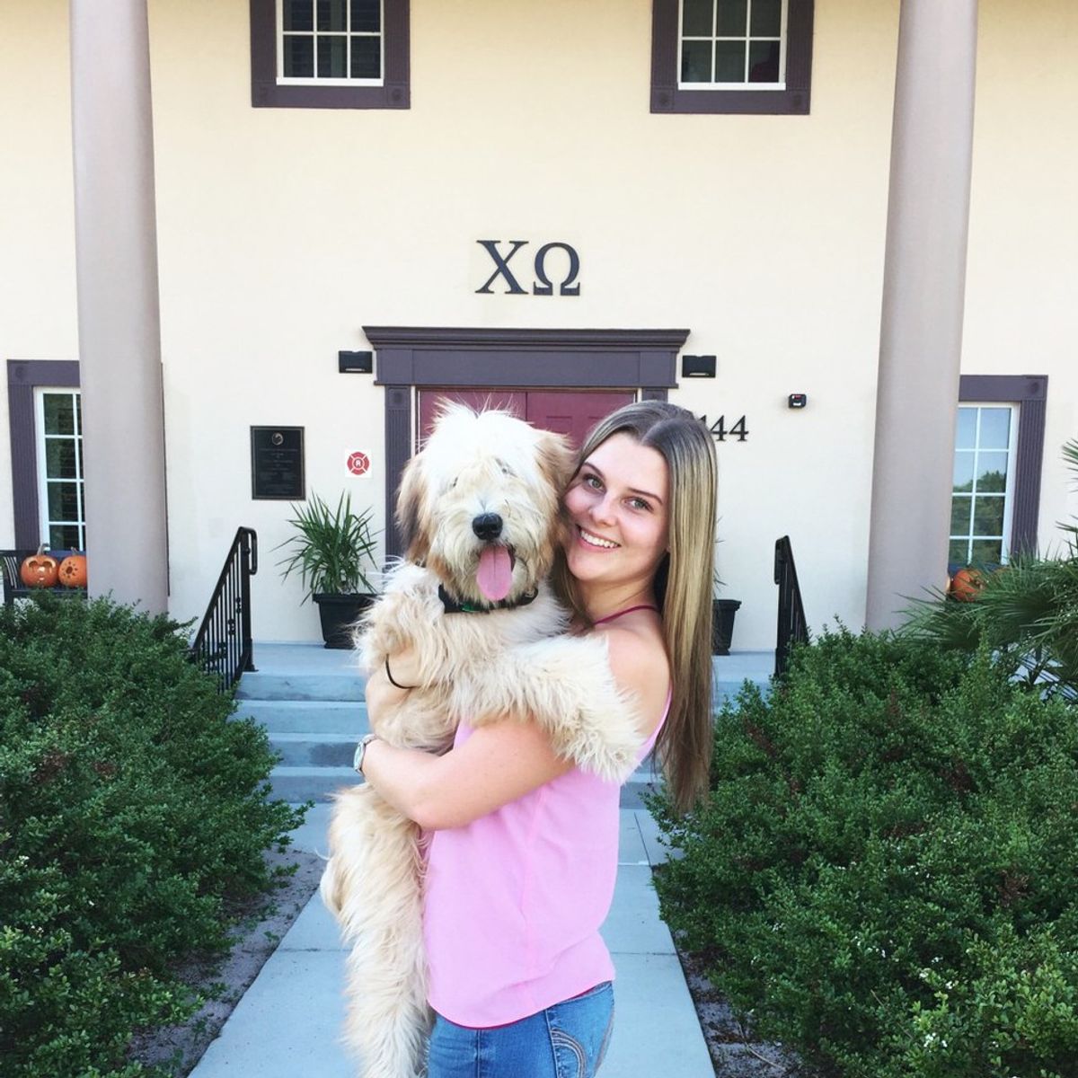 Sorority Recruitment As Told By Animals