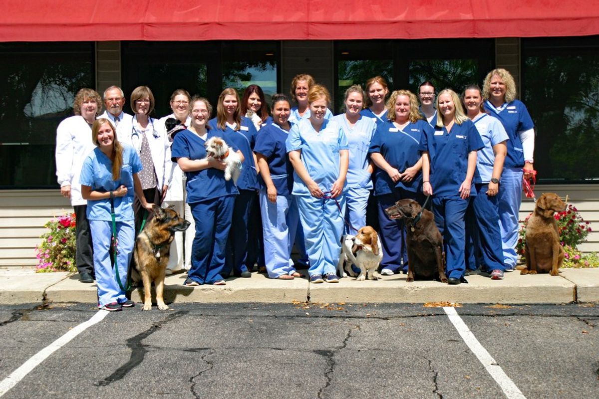 10 Reasons To Thank Your Vet Team