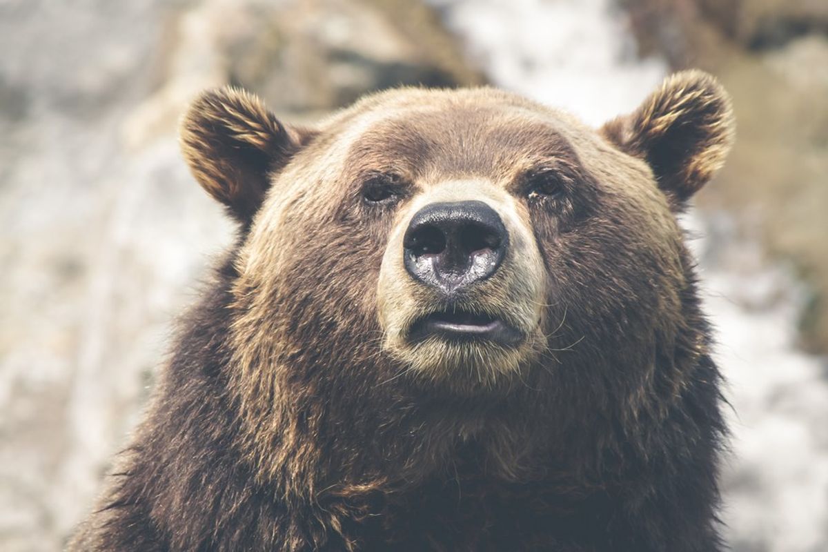 Happy 100th Birthday National Parks Service!