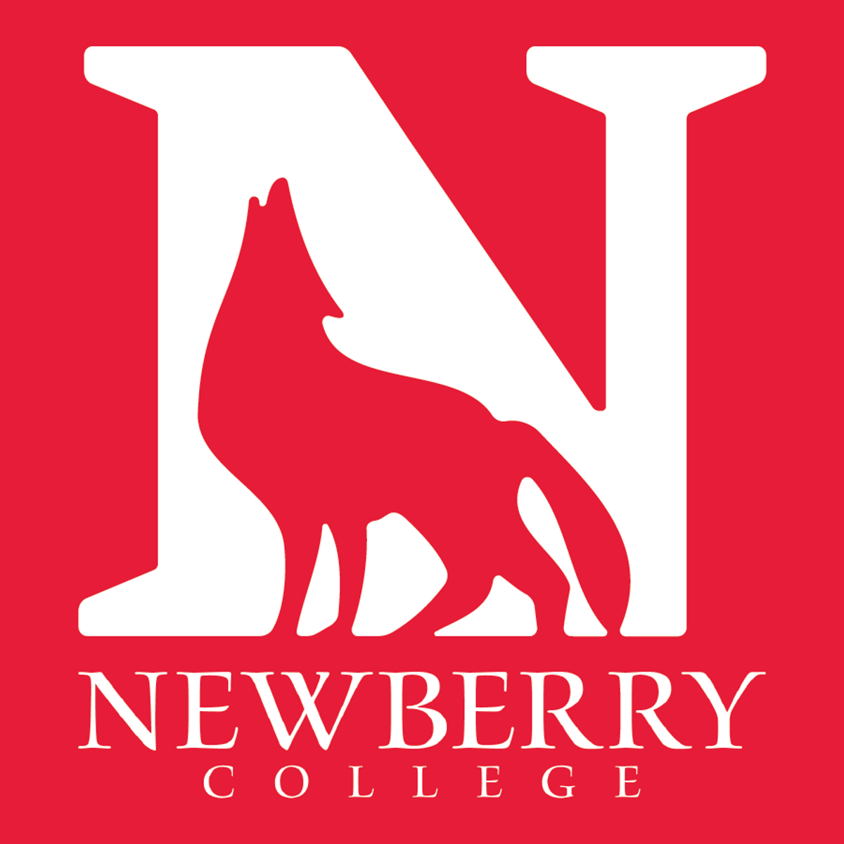 8 Things Newberry College Freshmen Understand