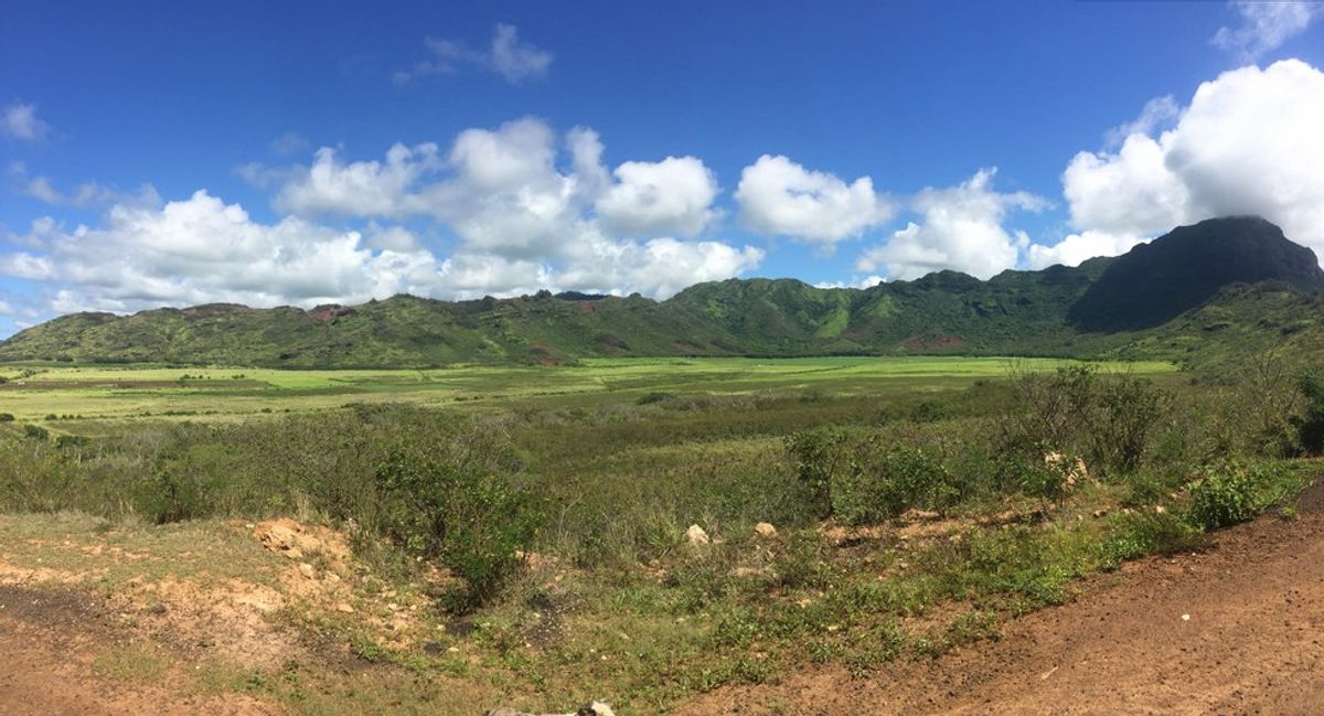 My Week In Kauai