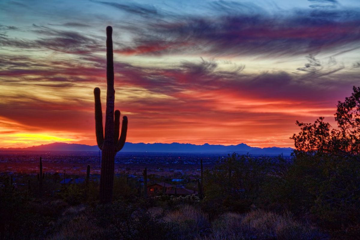 Growing Up In The Desert