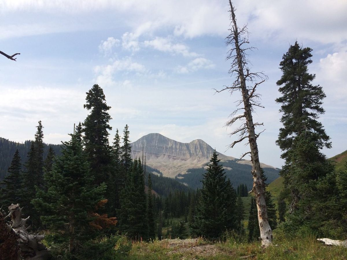 5 Best Hikes In Durango, Colorado