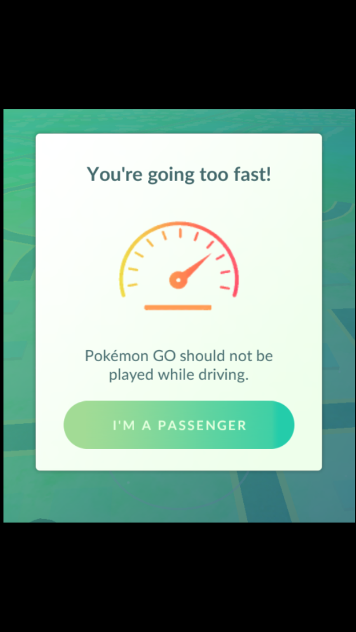 Playing It Safe While Playing Pokemon Go.