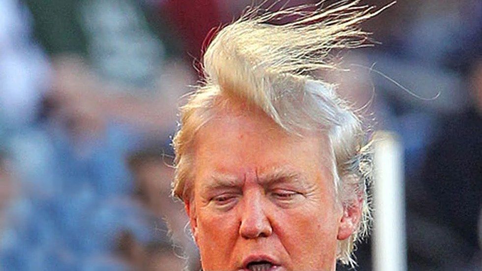 15 Things To Do With Donald Trump s Hair