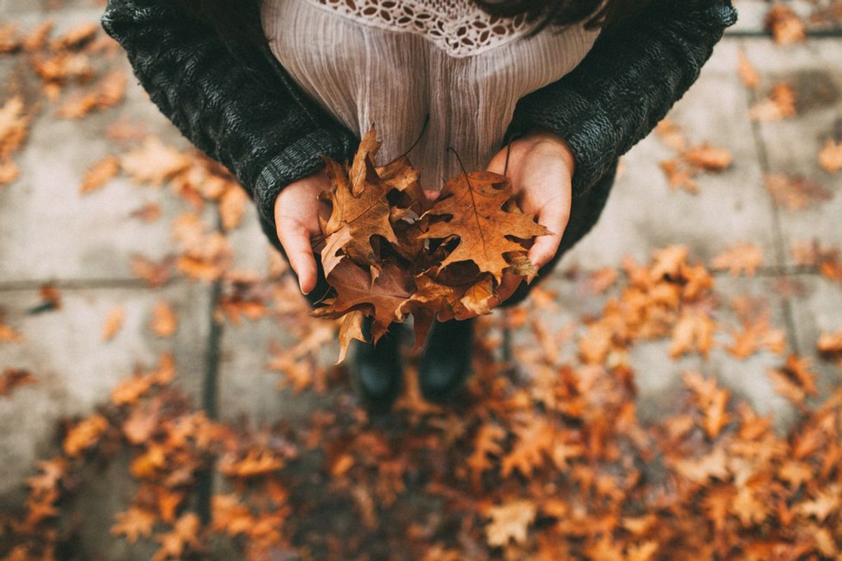 6 Reasons To Get Excited For Fall