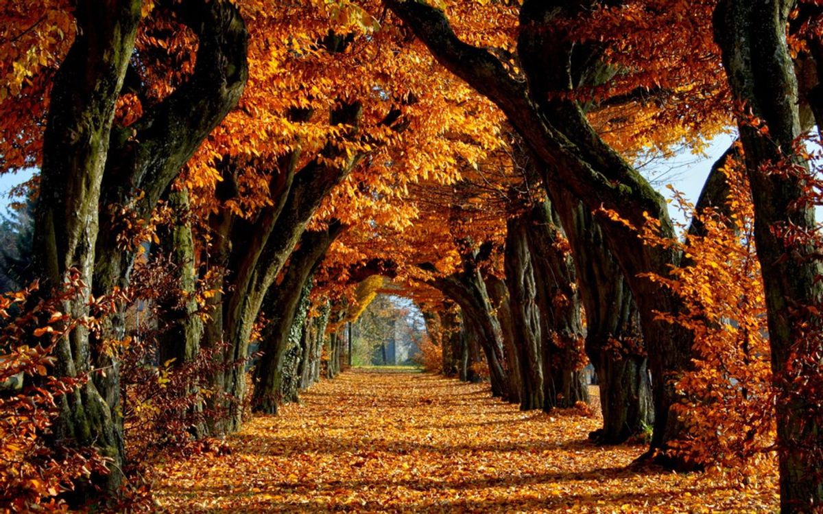 7 Reasons Why Fall Is The Best Season