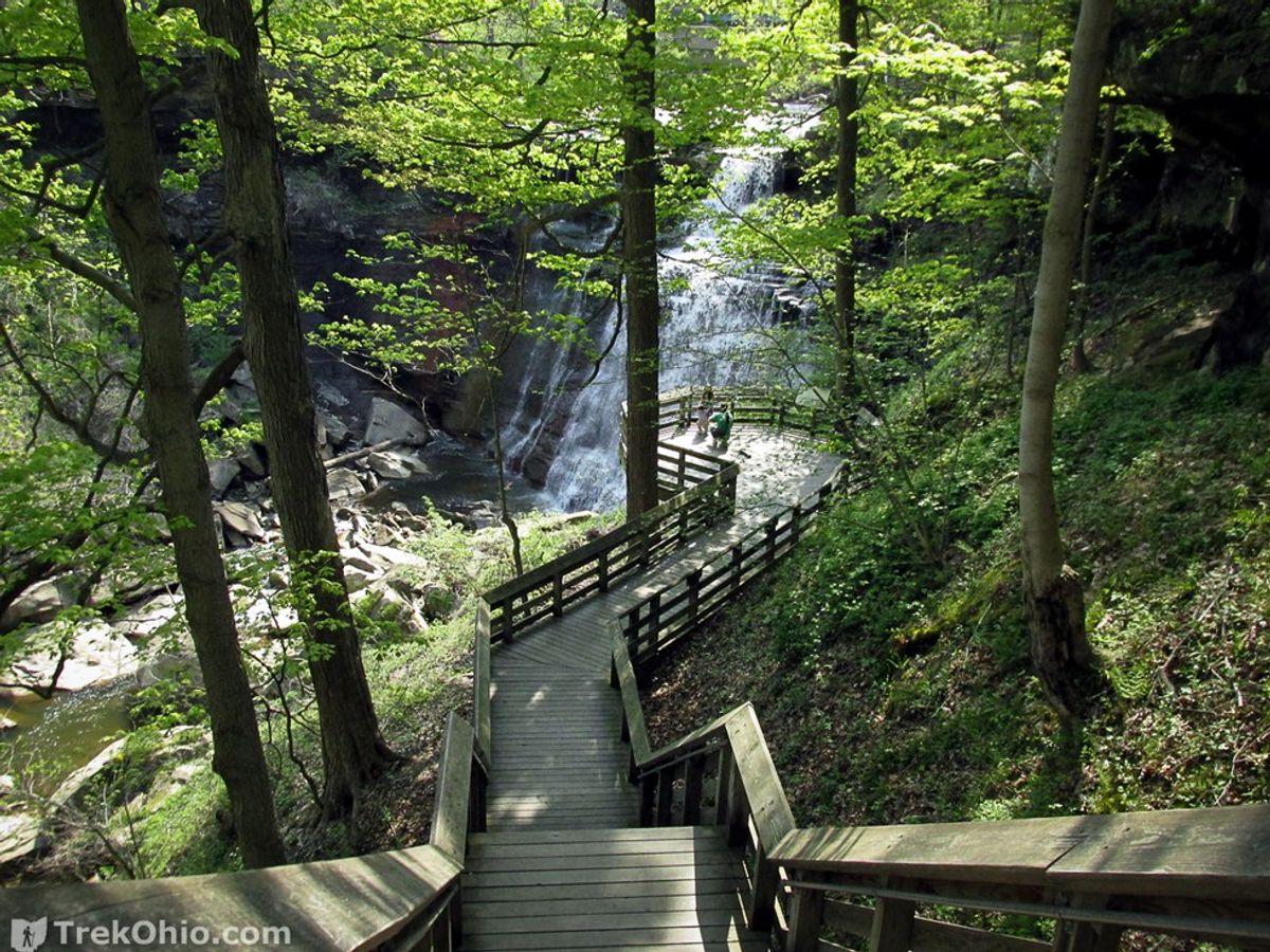 Growing Up In The National Parks