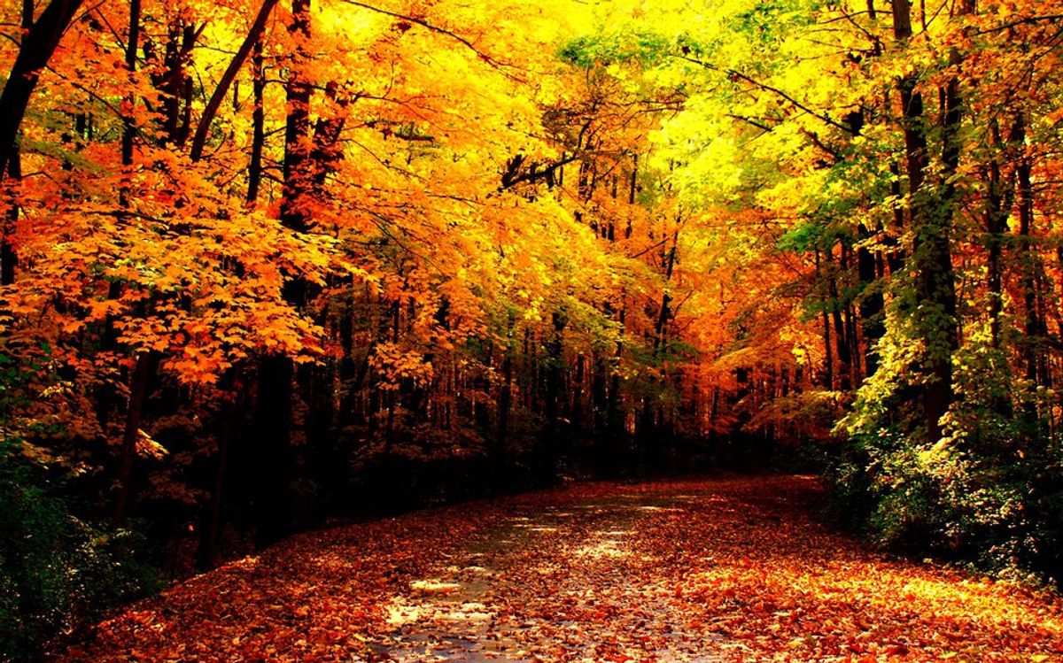 10 Reasons Why You Should Love Fall