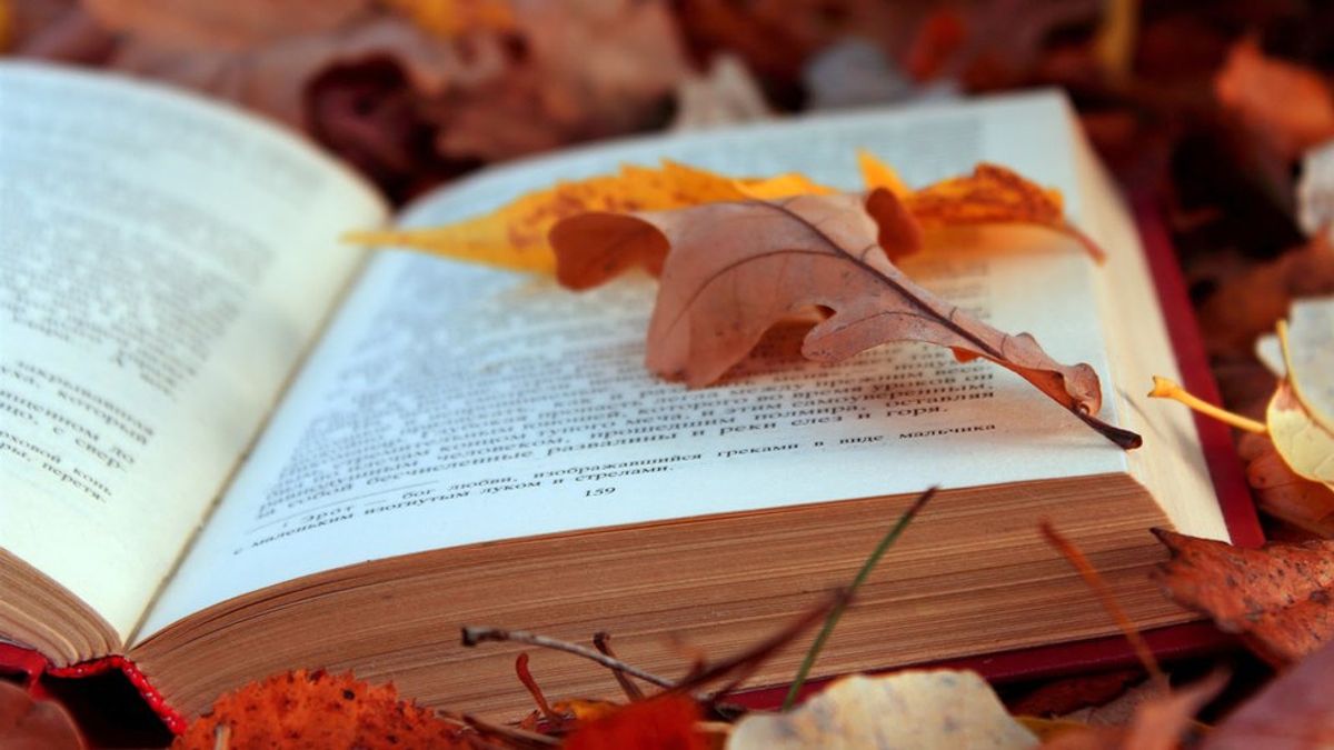 Autumn Reads