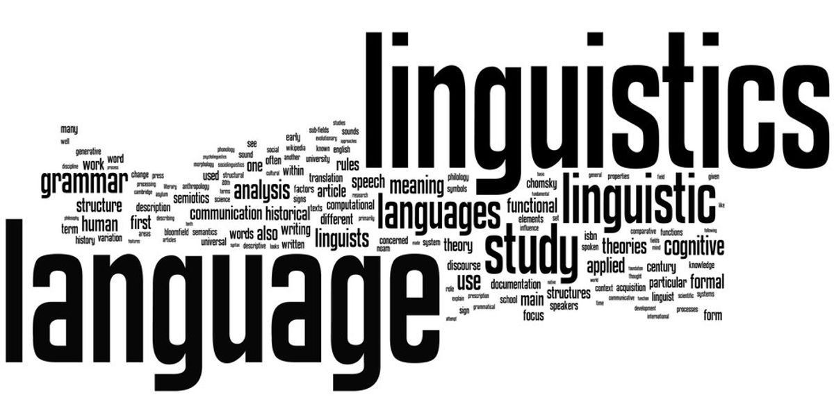 Why I Study Linguistics