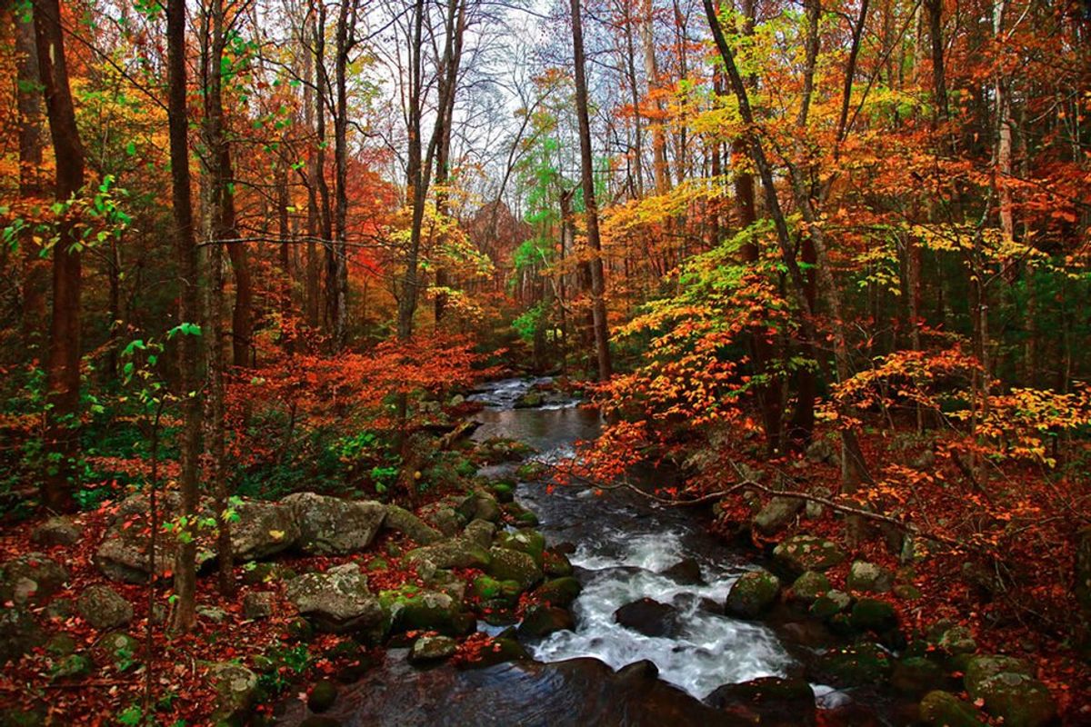 25 Things To Put On Your Fall Bucket List