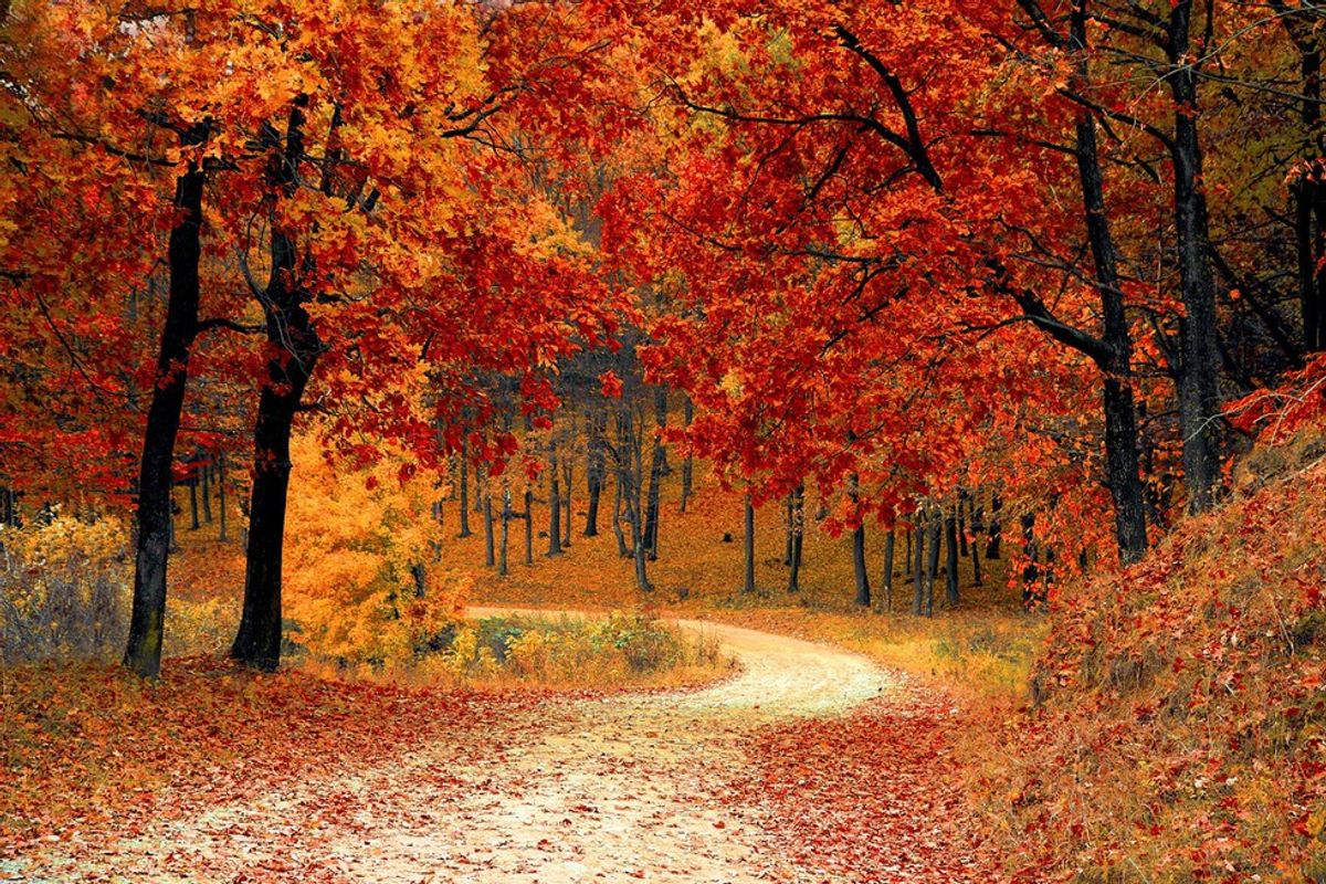 9 Reasons Why Fall Is The Best