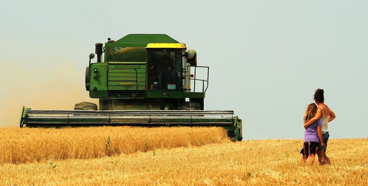 It's Harvest Time In This Little Town