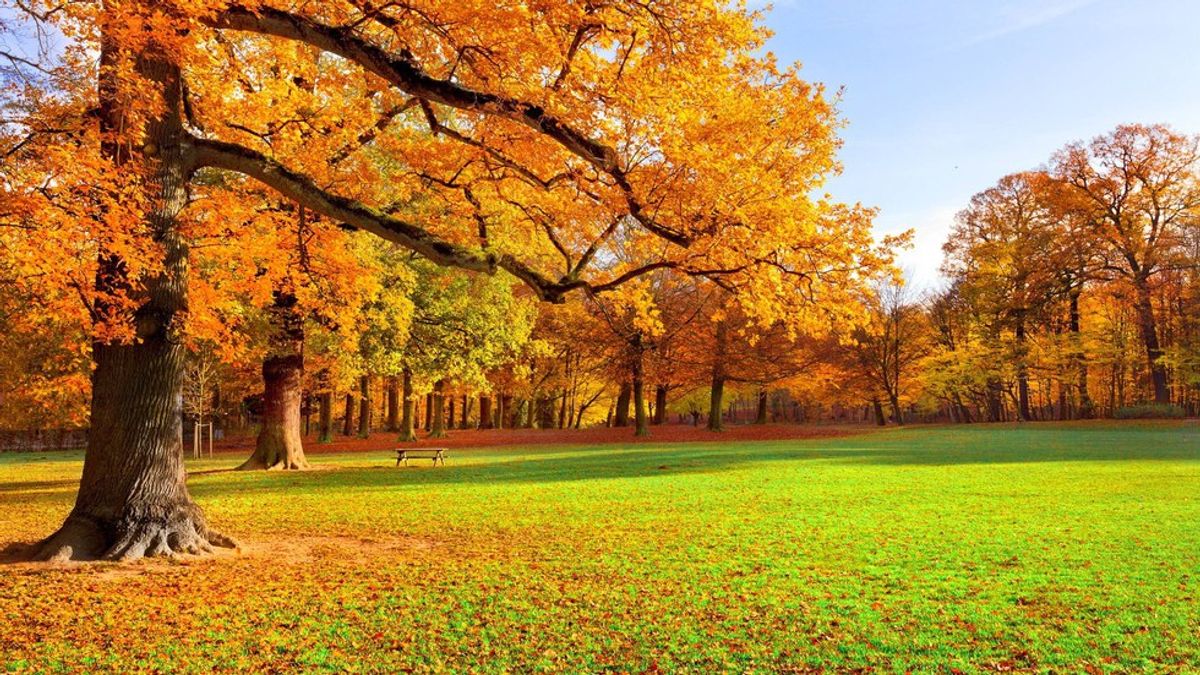 8 Reasons Fall Is The Most Underated Season