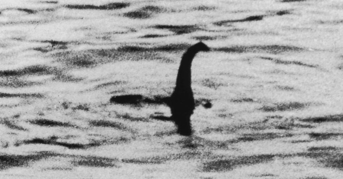 Why I Just Really Hope The Loch Ness Monster Exists