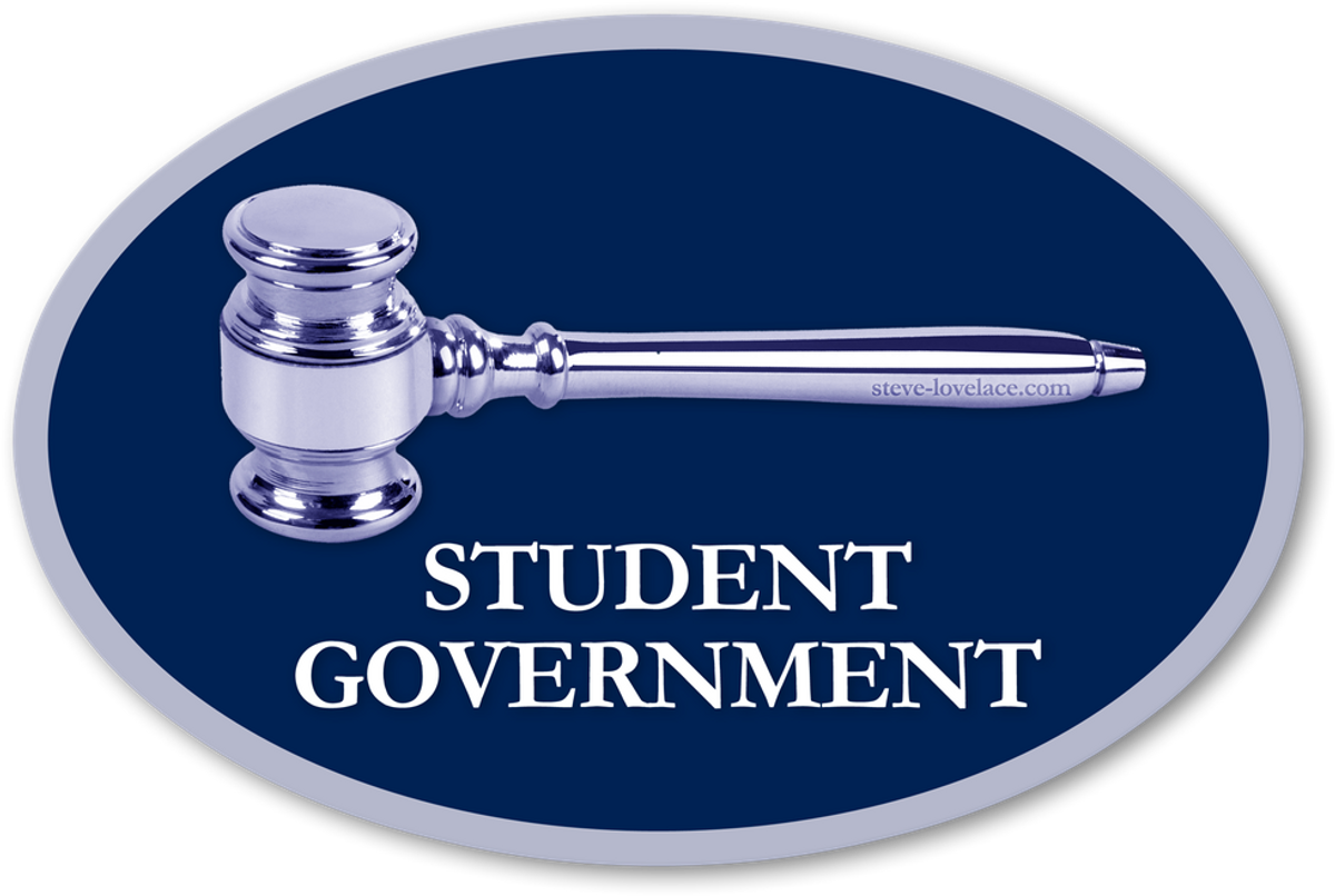 Meet The Freshman Student Government