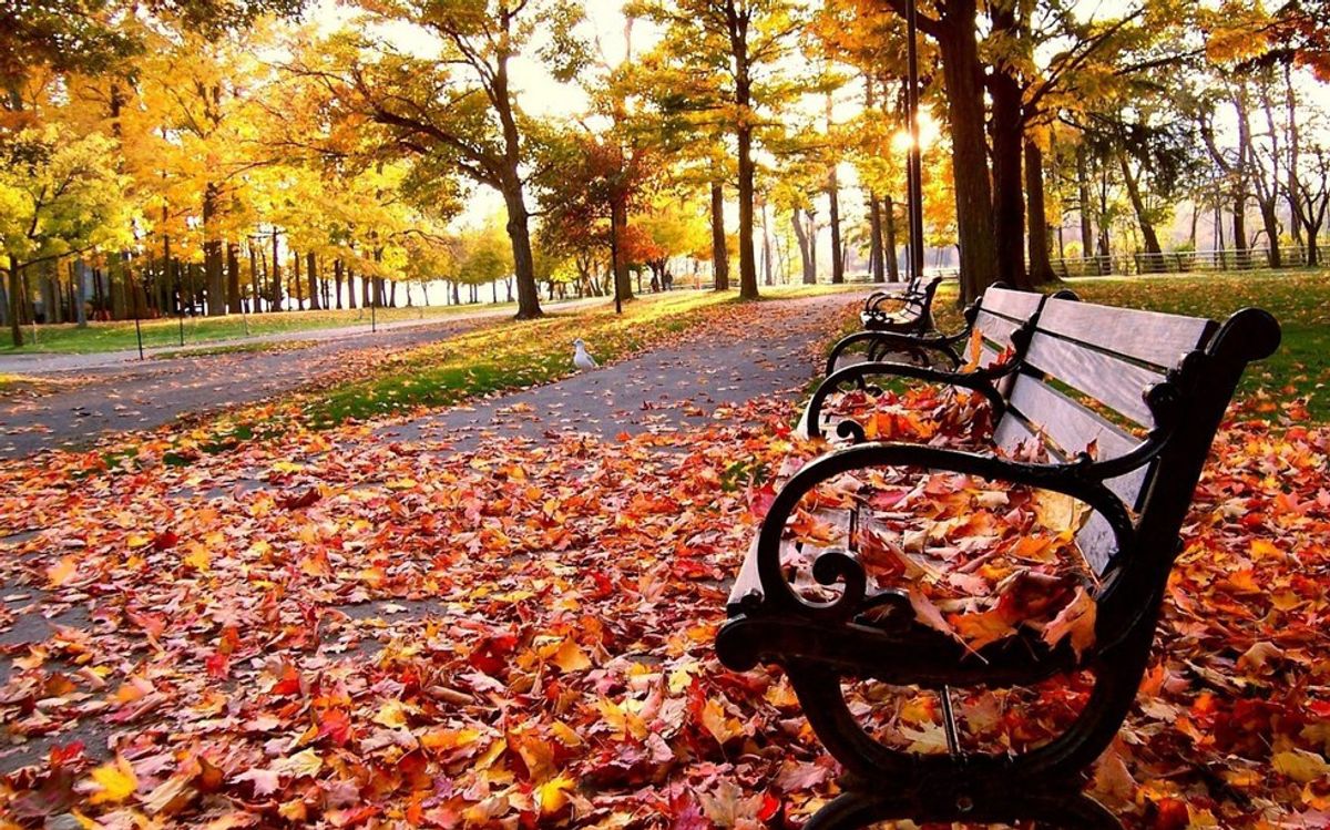 6 Things I Love About Fall