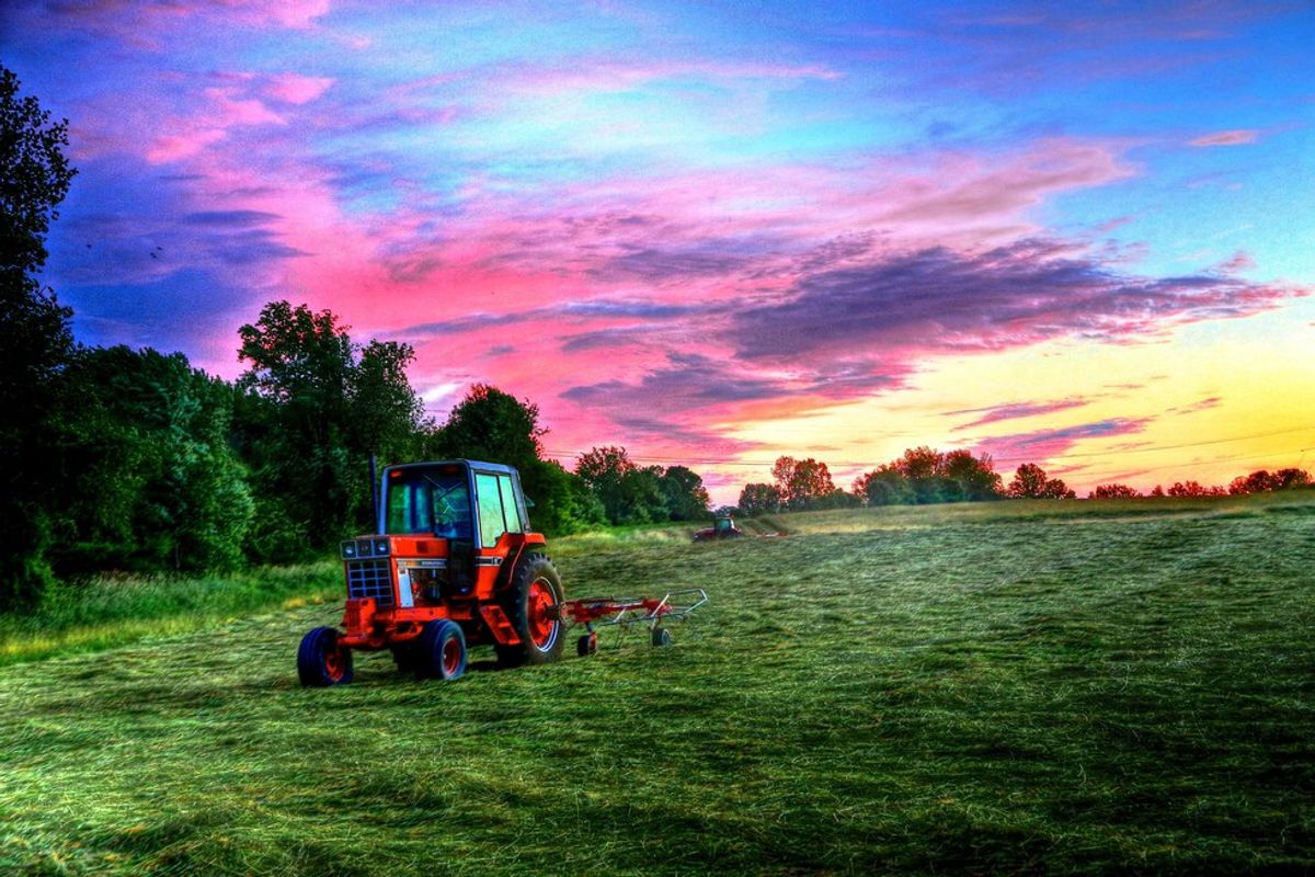 But I Fell In Love With A Farmer