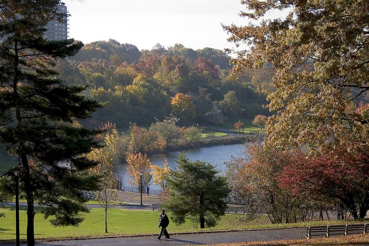 The Best Parks For Fall In Staten Island