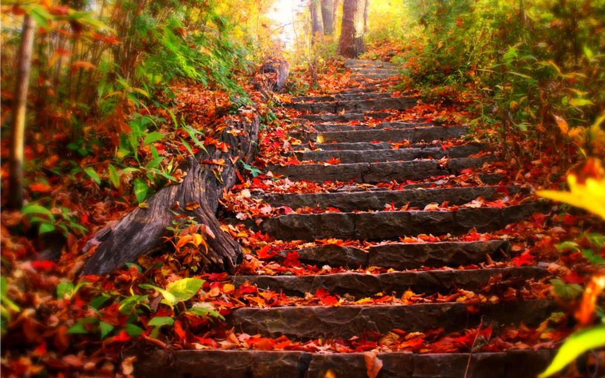 11 Reasons Why Fall is the Best Season of Them All