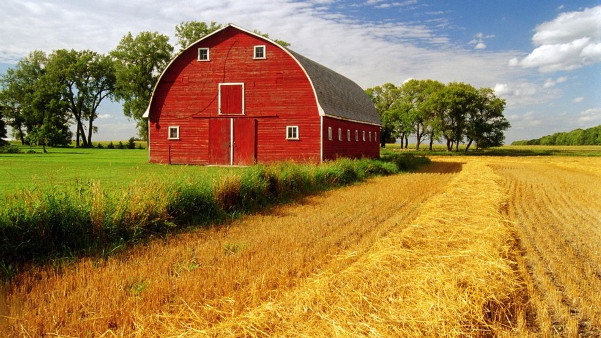 11 Things Farmer's Kids Know To Be True