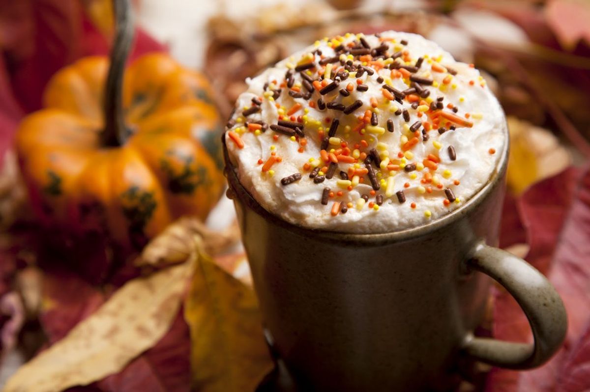 Why Fall Is The Best Season